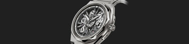 Christopher Ward Twelve X